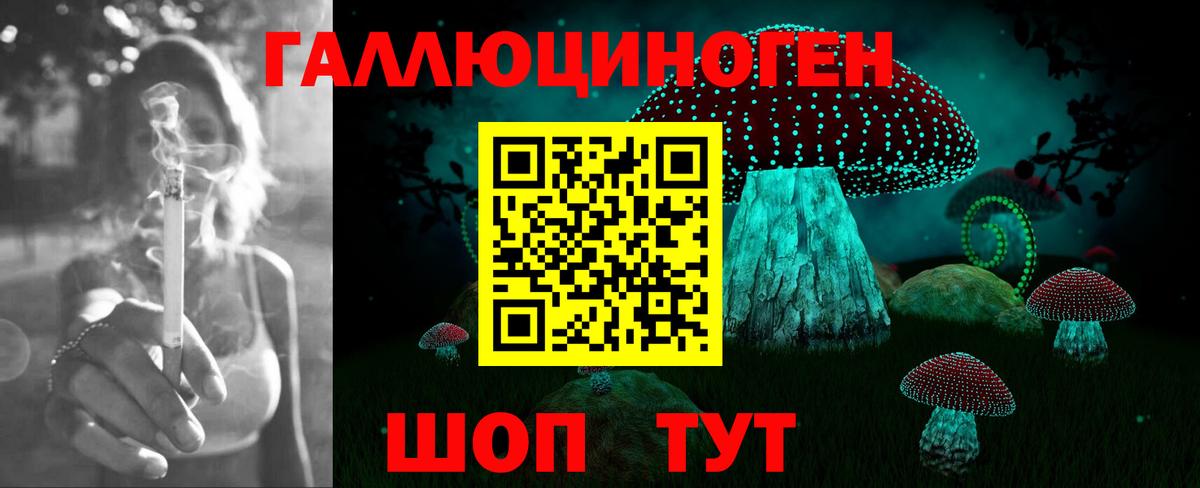 Галлюциногенные грибы Psilocybine cubensis Саров